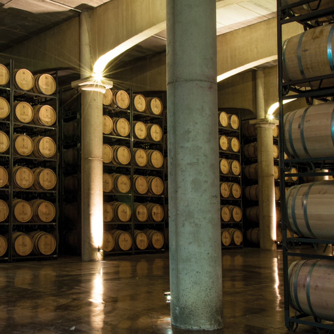 Manzanos vineyards